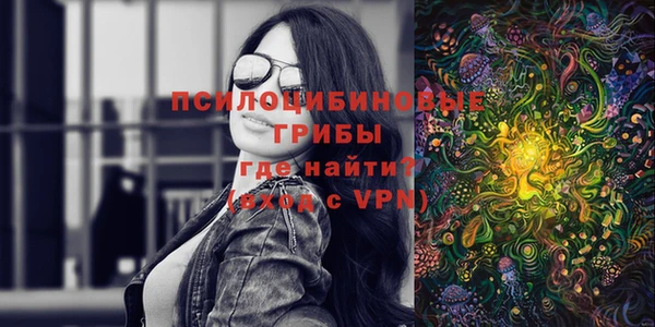 spice Армянск