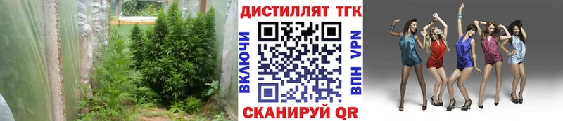 Дистиллят ТГК Wax Сысерть