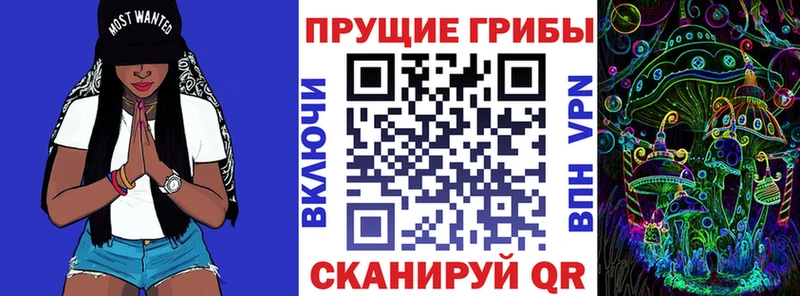 Псилоцибиновые грибы мухоморы  Купить  Сысерть 